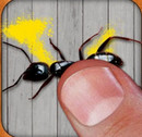 Ant Smasher for Android – Fun ant Killing Game on Android -Game g …